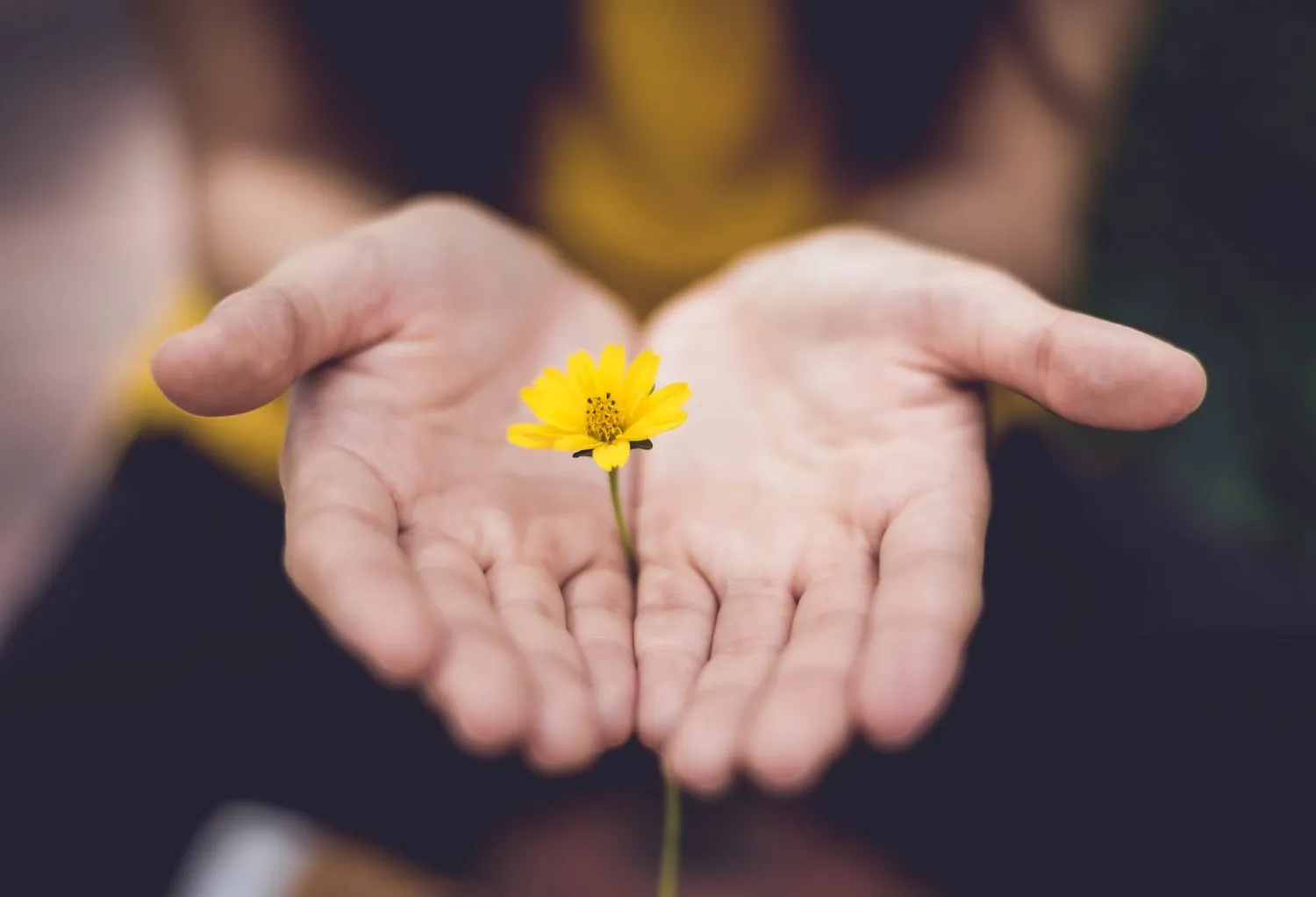 Vâng Lời Là Bí Quyết Để Vui Thỏa